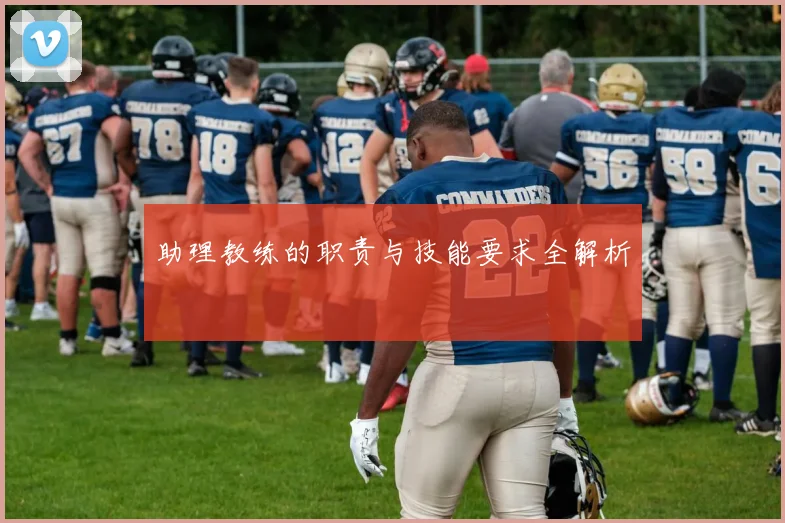 助理教练的职责与技能要求全解析